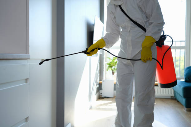 Best Mold Remediation for Rental Properties  in New Bremen, OH